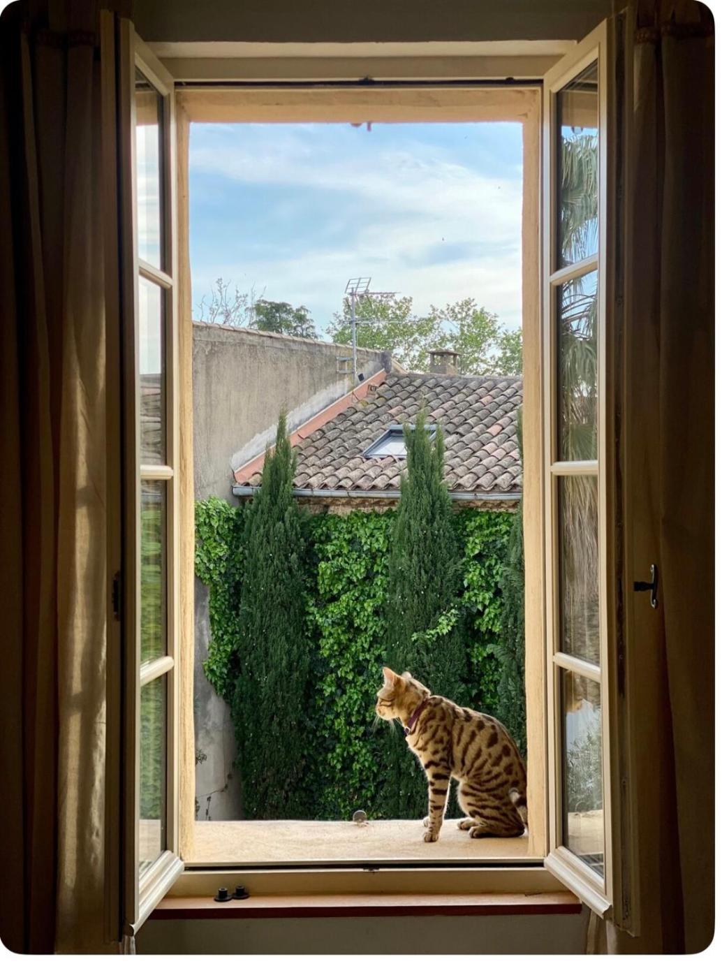 Le Figuier Daire Beauvoisin  Dış mekan fotoğraf